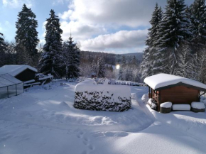 Отель Ferienwohnungen Glockenberg, Альтенау